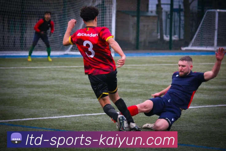 开云平台生态图